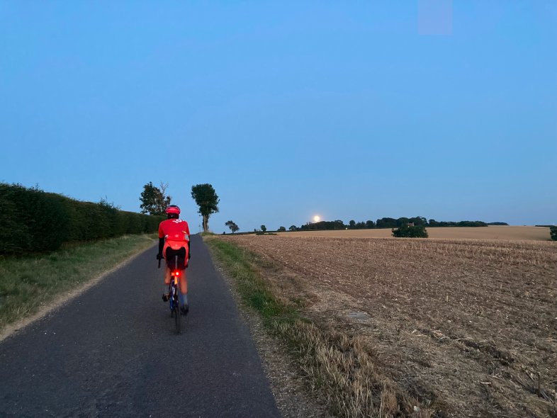 audax audax